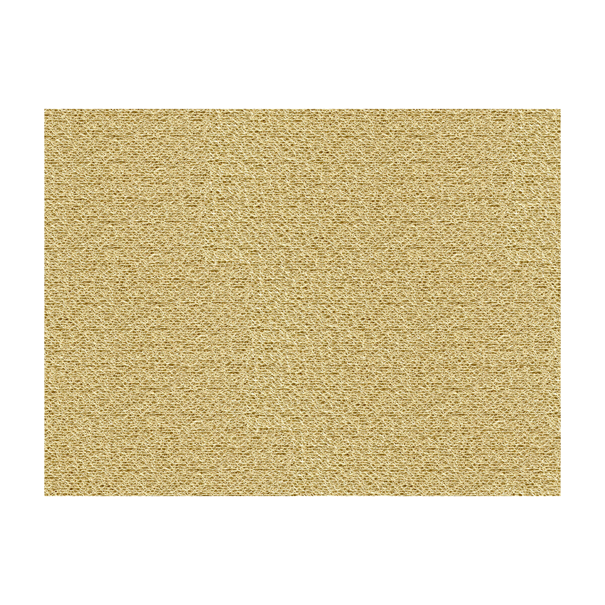KRAVET CONTRACT 3938.16.0 NESTING PROSECCO Fabric