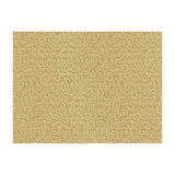 KRAVET CONTRACT 3938.16.0 NESTING PROSECCO Fabric