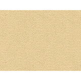KRAVET CONTRACT 3938.1.0 NESTING CLOUD Fabric