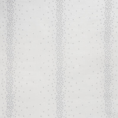 KRAVET BASICS 3950.11.0 GAFFEY SILVER Fabric