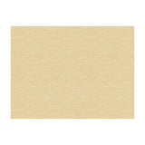 KRAVET CONTRACT 3958.1116.0 HIGH WATER SHELL Fabric