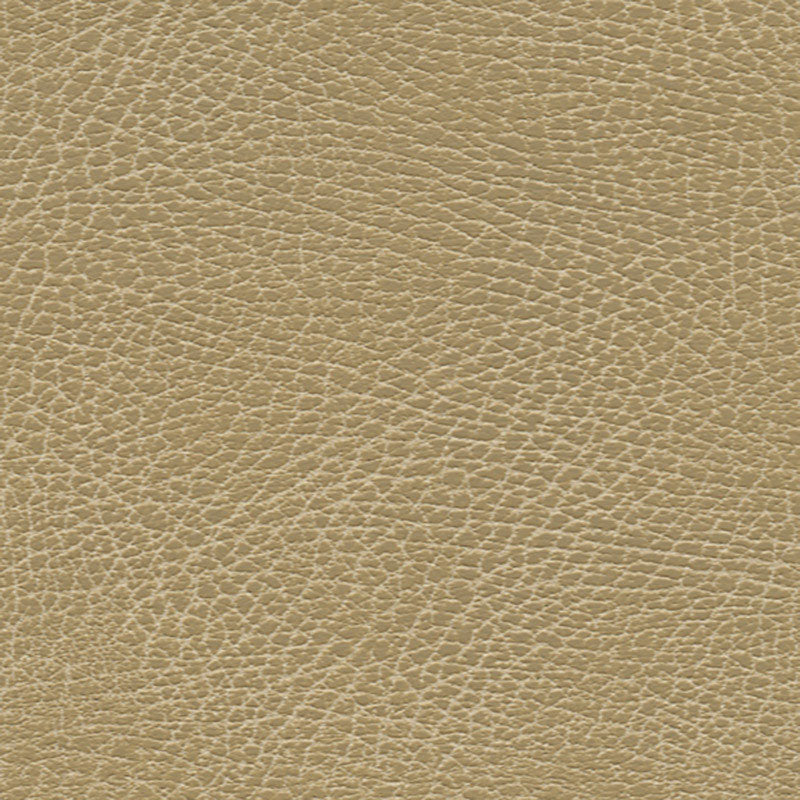Schumacher 396-3134 BRISA SOLEIL DISTRESSED in BUCKS Fabric 