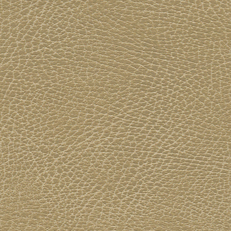 Schumacher 396-3134 BRISA SOLEIL DISTRESSED in BUCKS Fabric 