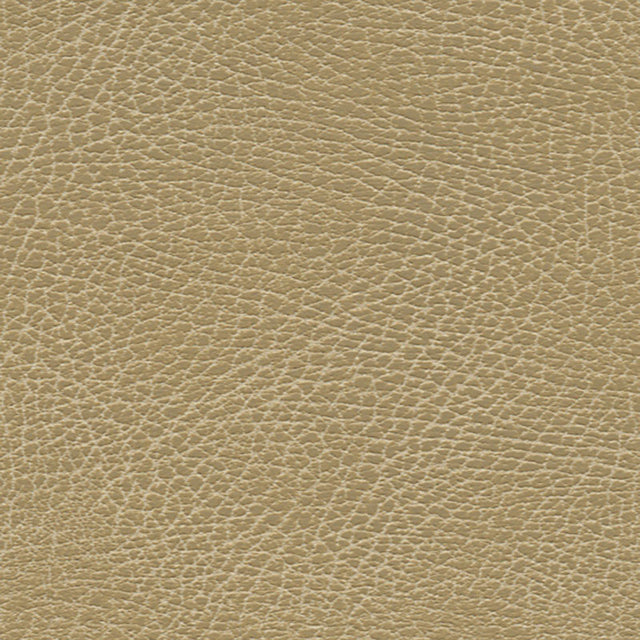 Schumacher 396-3134 BRISA SOLEIL DISTRESSED in BUCKS Fabric 
