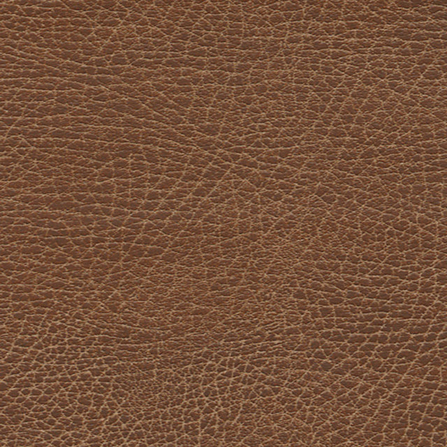 Schumacher 396-3972 BRISA SOLEIL DISTRESSED in LASSO Fabric 
