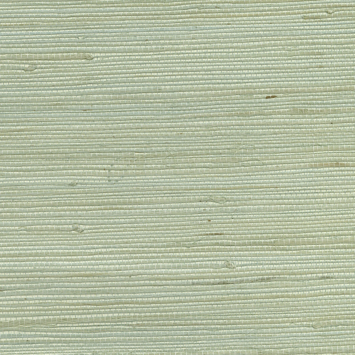 Eade’s Battan Soft Green Grasscloth Wallpaper Mint