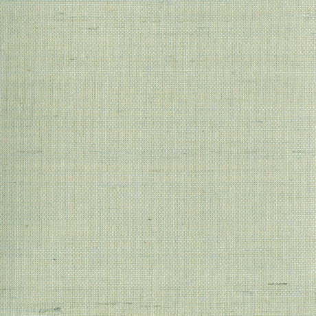Eade’s Mugen Light Green Grasscloth Wallpaper Light Green