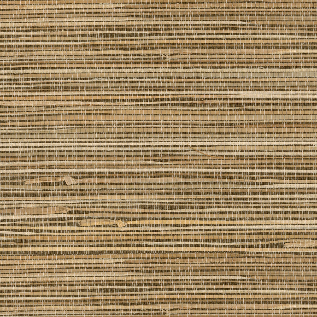 Advantage 4018-0026 Seiju Wheat Grasscloth Wallpaper