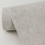 A-Street Prints 4019-86498 Clerici Platinum Snakeskin Wallpaper