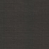 Eade’s Colcord Black Sisal Grasscloth Wallpaper by Scott Liv