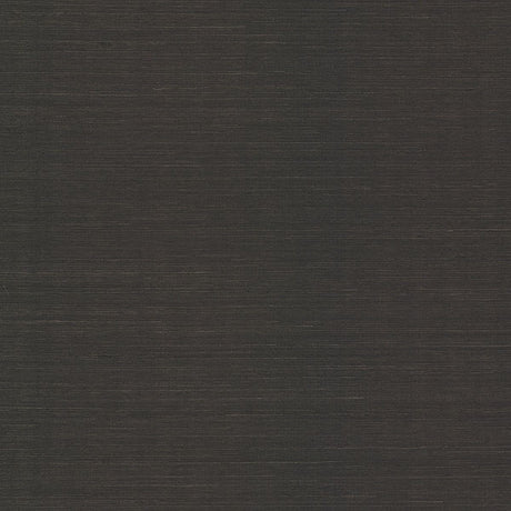 Eade’s Colcord Black Sisal Grasscloth Wallpaper by Scott Liv