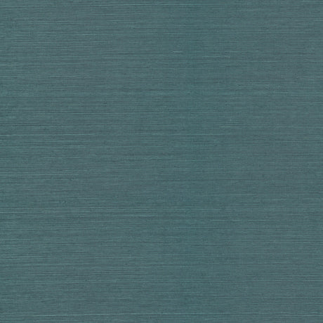 A-Street Prints 4034-72102 Colcord Black Sisal Wallpaper by Scott Living - Eade's Wallpaper