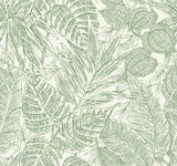 A-Street Prints 4034-72116 Brentwood Green Palm Leaves Wallpaper by Scott Living