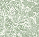 Eade’s Brentwood Green Palm Leaves Wallpaper by Scott Living