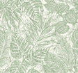 A-Street Prints 4034-72117 Brentwood Black Palm Leaves Wallpaper by Scott Living - Eade's Wallpaper