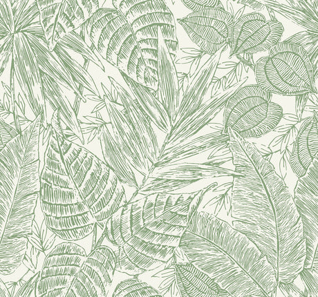 A-Street Prints 4034-72117 Brentwood Black Palm Leaves Wallpaper by Scott Living - Eade's Wallpaper