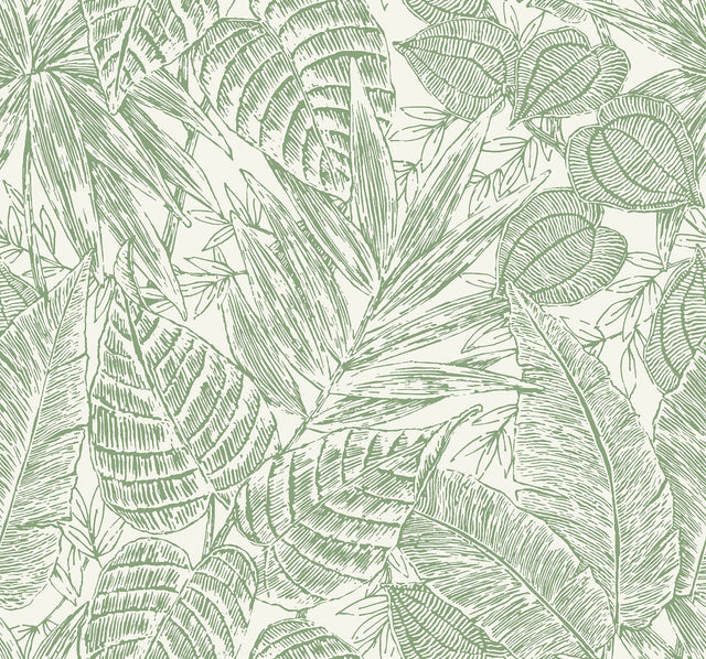 A-Street Prints 4034-72117 Brentwood Black Palm Leaves Wallpaper by Scott Living - Eade's Wallpaper