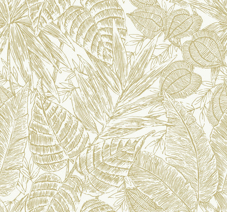 A-Street Prints 4034-72119 Brentwood Black Palm Leaves Wallpaper by Scott Living - Eade's Wallpaper