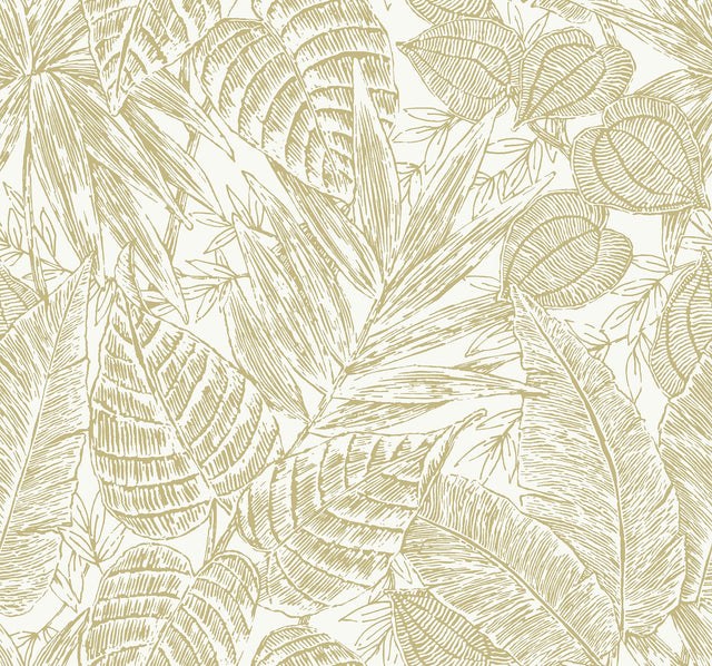 A-Street Prints 4034-72119 Brentwood Black Palm Leaves Wallpaper by Scott Living - Eade's Wallpaper