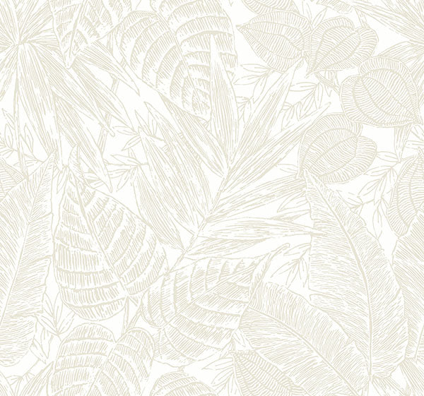 Eade’s Brentwood Bone Palm Leaves Wallpaper by Scott Living 