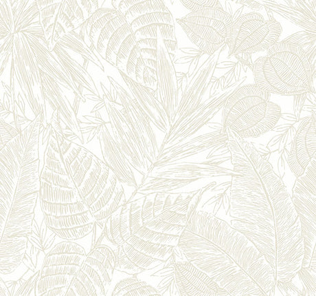 Eade’s Brentwood Bone Palm Leaves Wallpaper by Scott Living 
