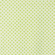 Schumacher 403B67 GRANADA in ROBIN'S EGG Fabric - RAOUL TEXT