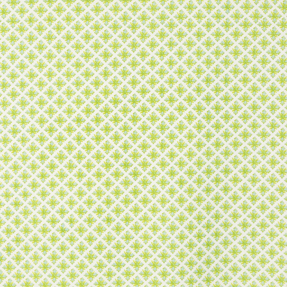 Schumacher 403B67 GRANADA in ROBIN'S EGG Fabric - RAOUL TEXT