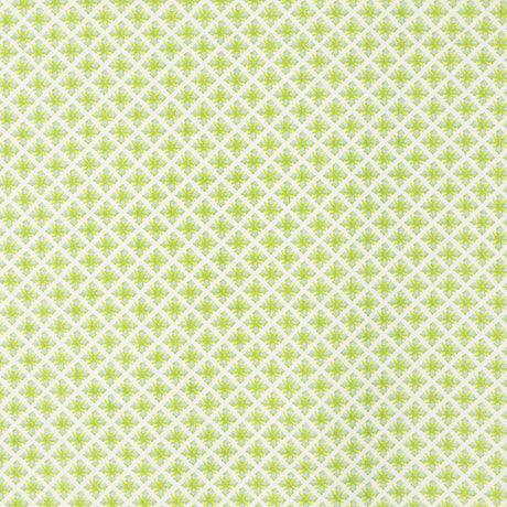 Schumacher 403B67 GRANADA in ROBIN'S EGG Fabric - RAOUL TEXT