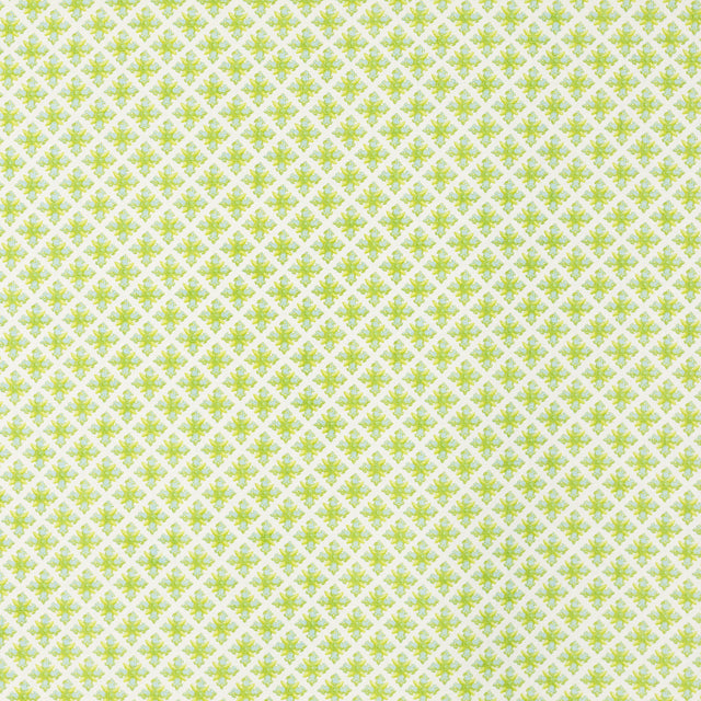 Schumacher 403B67 GRANADA in ROBIN'S EGG Fabric - RAOUL TEXT