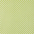 Schumacher 403N67 GRANADA in ROBIN'S EGG Fabric - RAOUL TEXT