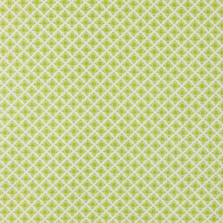 Schumacher 403N67 GRANADA in ROBIN'S EGG Fabric - RAOUL TEXT