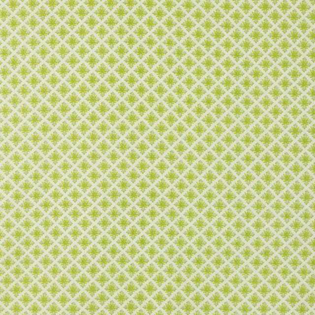 Schumacher 403N67 GRANADA in ROBIN'S EGG Fabric - RAOUL TEXT