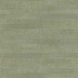 Advantage 4041-418484 Dermot Light Green Horizontal Stripe Wallpaper