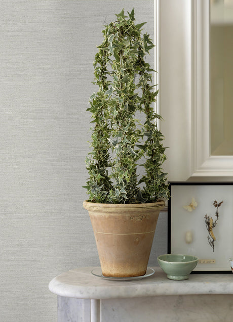 Advantage 4044-30688-9 Estefan Off-White Distressed Texture Wallpaper