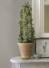 Advantage 4044-30689-4 Canseco Grey Distressed Texture Wallpaper