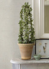 Advantage 4044-32262-2 Ayala Off-White Distressed Wallpaper