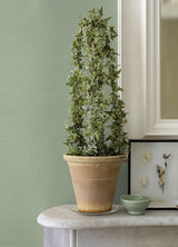 Advantage 4044-37178-8 Estefan Green Distressed Texture Wallpaper