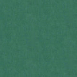 Advantage 4044-38024-9 Riomar Green Distressed Texture Wallpaper