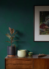 Advantage 4044-38027-1 Bel Air Teal Fan Wallpaper