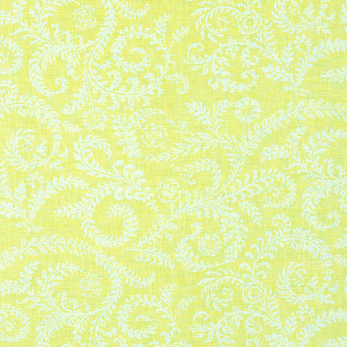 Schumacher 405B49 MORELIA in LIMON Fabric - RAOUL TEXTILES