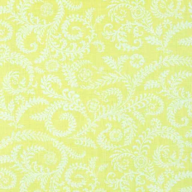 Schumacher 405B49 MORELIA in LIMON Fabric - RAOUL TEXTILES