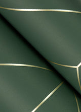 A-Street Prints 4066-26550 Sander Evergreen Geometric Wallpaper
