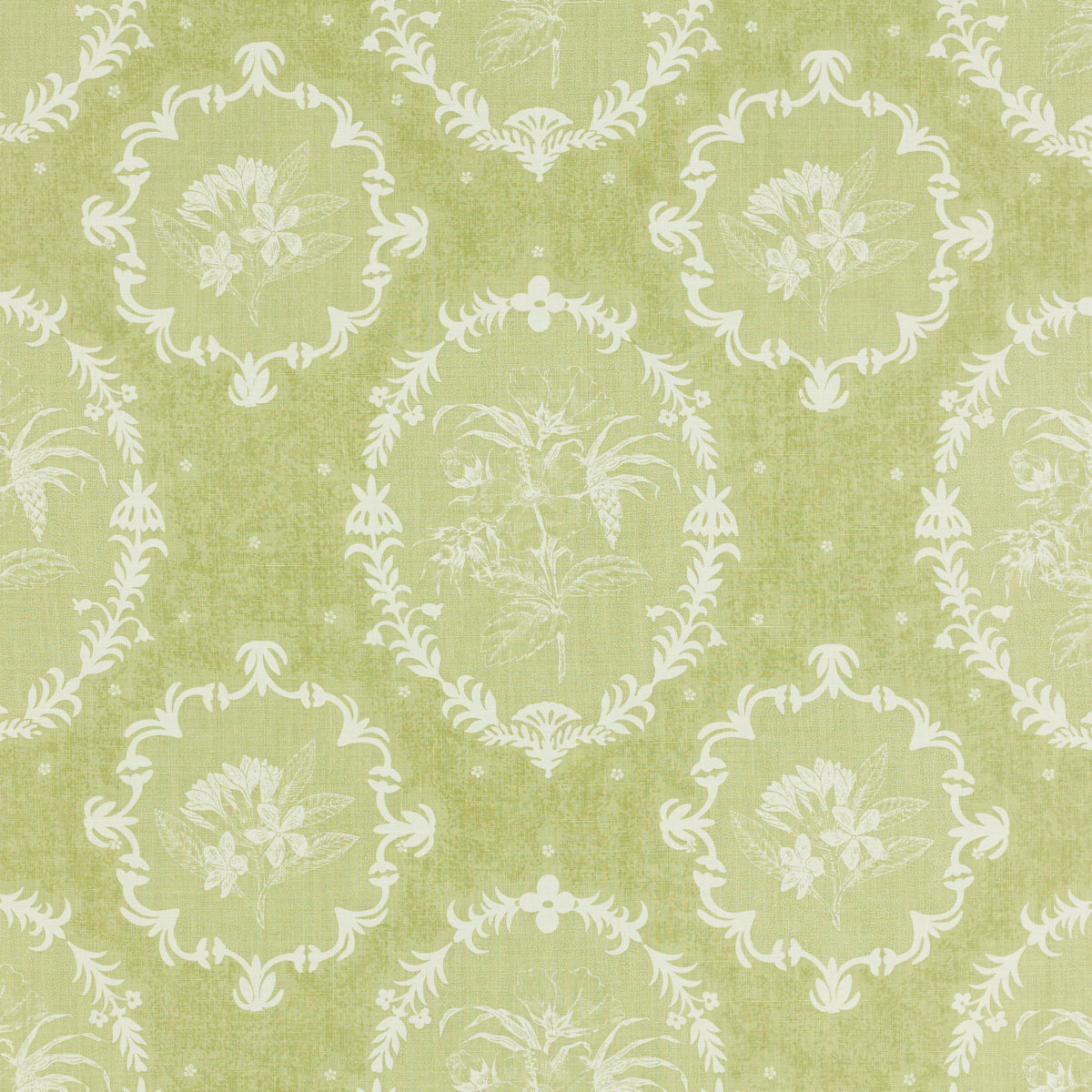 Schumacher 406V69 CAMEO in OLIVINE Fabric - RAOUL TEXTILES