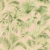 Chesapeake 4071-71017 Manaus Peach Palm Frond Wallpaper