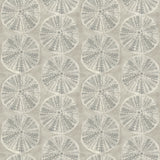 Chesapeake 4071-71024 Sea Biscuit Grey Sand Dollar Wallpaper