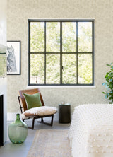 Chesapeake 4071-71027 Sea Biscuit Beige Sand Dollar Wallpaper
