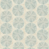 Chesapeake 4071-71028 Sea Biscuit Aqua Sand Dollar Wallpaper