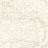 Chesapeake 4071-71057 Charts Taupe Nautical Chart Wallpaper