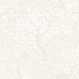 A-Street Prints 4080-83111 Olle Cream Forest Sanctuary Wallpaper