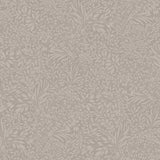 A-Street Prints 4080-92118 Kristina Grey Botanical Wallpaper